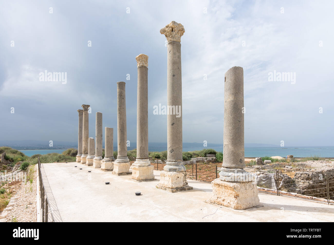 Neuf colonnes de granite de la palestre à Al Mina, site archéologique de Tyr, Liban Banque D'Images