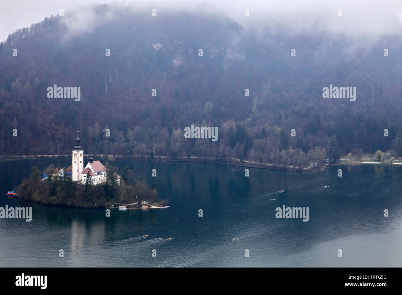 Ariel vue de l'église de pèlerinage de l'assomption de Marie, le lac de Bled Island, les Alpes Juliennes, en Slovénie, en Europe. Banque D'Images