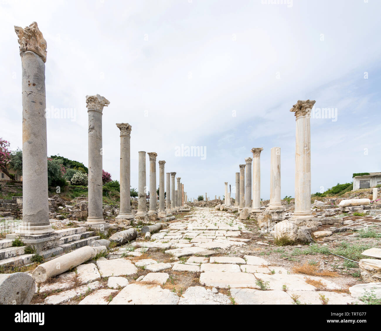 Portique romain à Al Mina, site archéologique de Tyr, Liban Banque D'Images