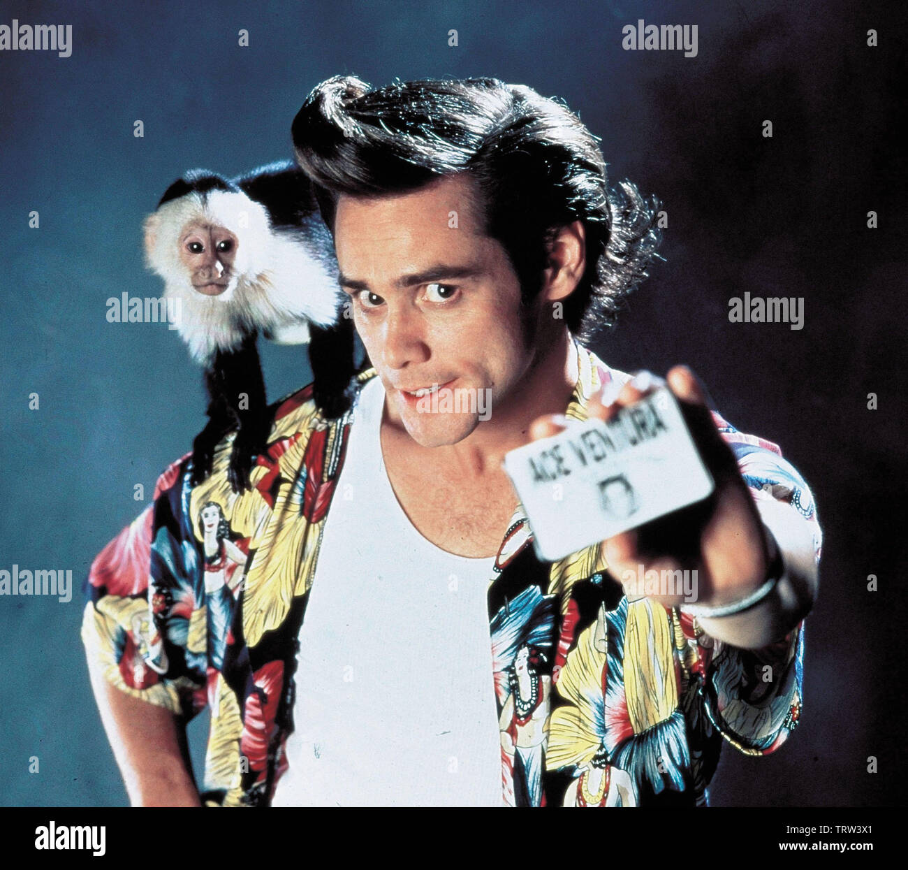 JIM CARREY dans Ace Ventura : PET DETECTIVE (1994). Copyright : Editorial uniquement. Pas de merchandising ou des couvertures de livres. C'est un document distribué au public. Les droits d'accès uniquement, aucune licence de droit d'auteur prévue. Seulement pour être reproduit dans le cadre de la promotion de ce film. Credit : Warner Brothers / Album Banque D'Images