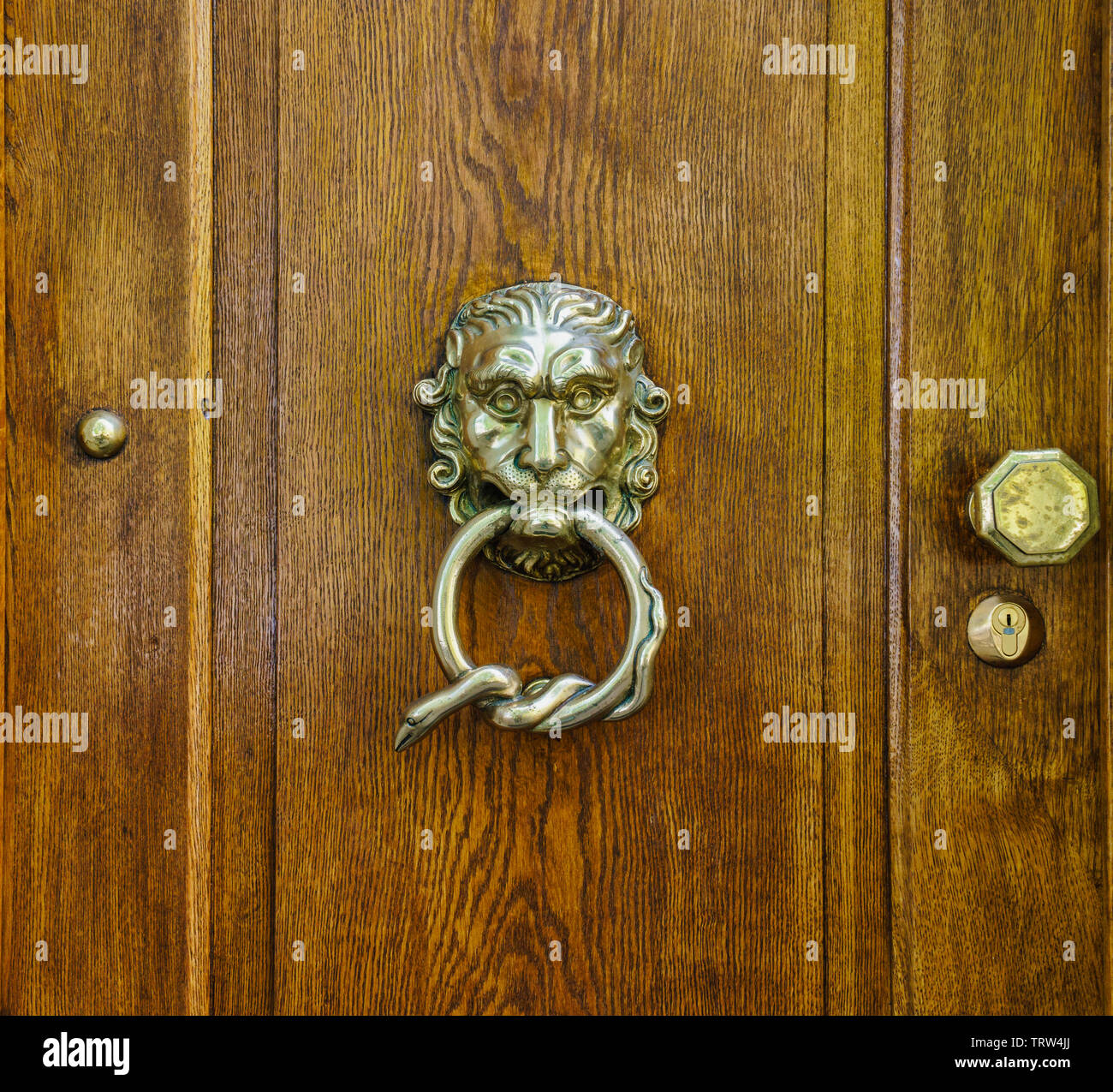Close-up d'une tête de lion en métal brillant avec un serpent enroulé jusqu'à sa bouche, un verrou et un bouton de porte sur une porte en bois brun rustique Banque D'Images