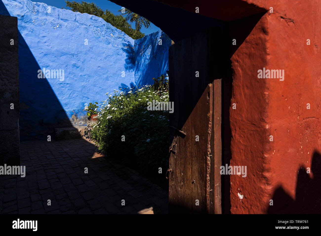 La lumière, d'ombre et de plantes dans le Monasterio de Santa Catalina, monastère, édifice religieux à Arequipa, Pérou, Amérique du Sud Banque D'Images