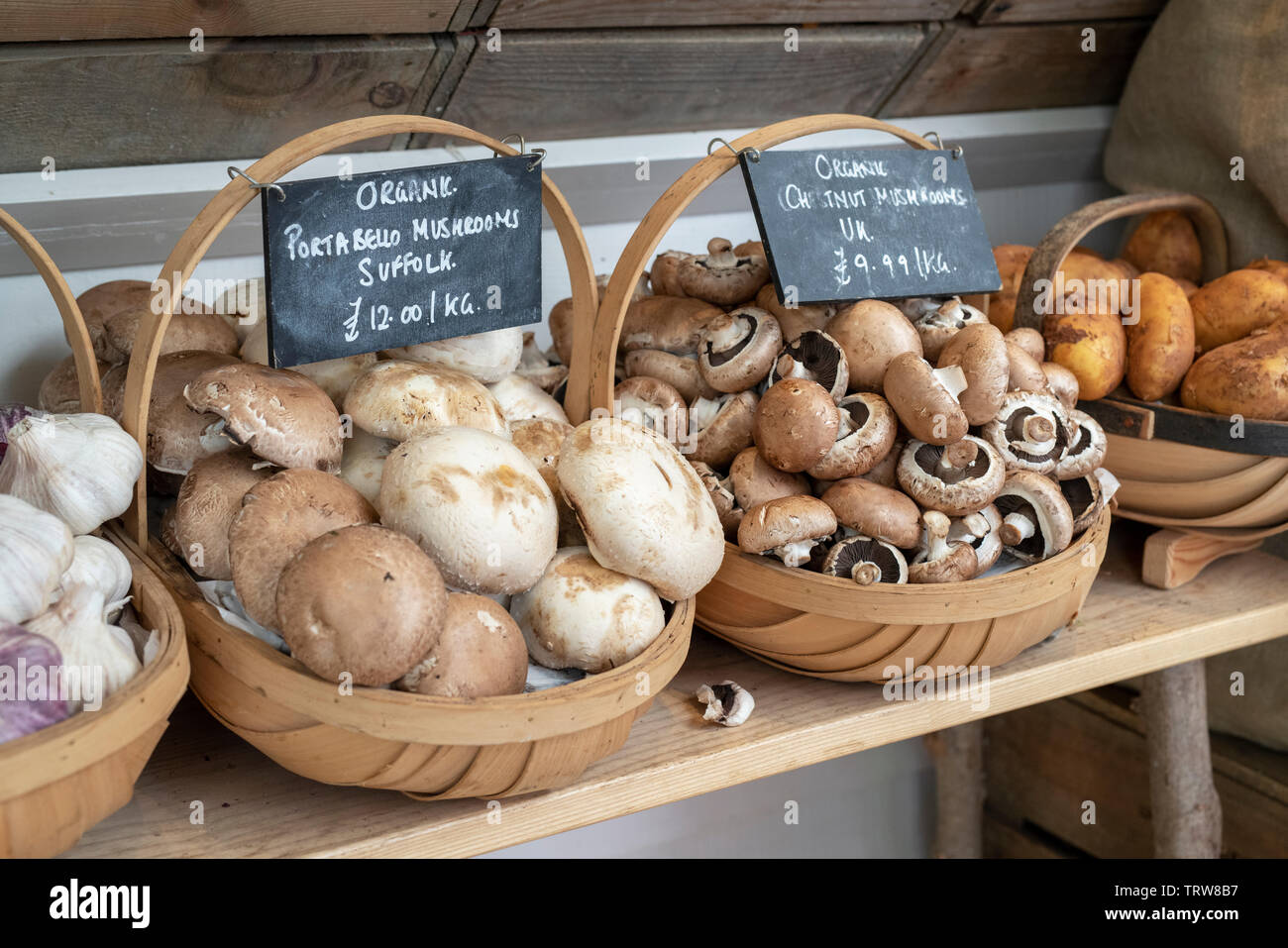 Champignons Portobello bio en vente à Daylesford Organic farm shop festival d'été. Daylesford, Cotswolds, Gloucestershire, Angleterre Banque D'Images