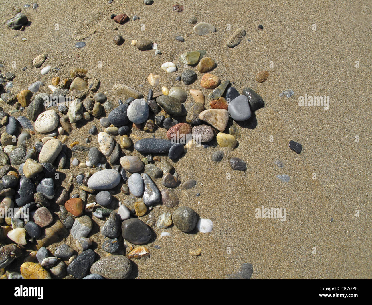 Le sable humide avec des cailloux de la mer en arrière-plan Banque D'Images