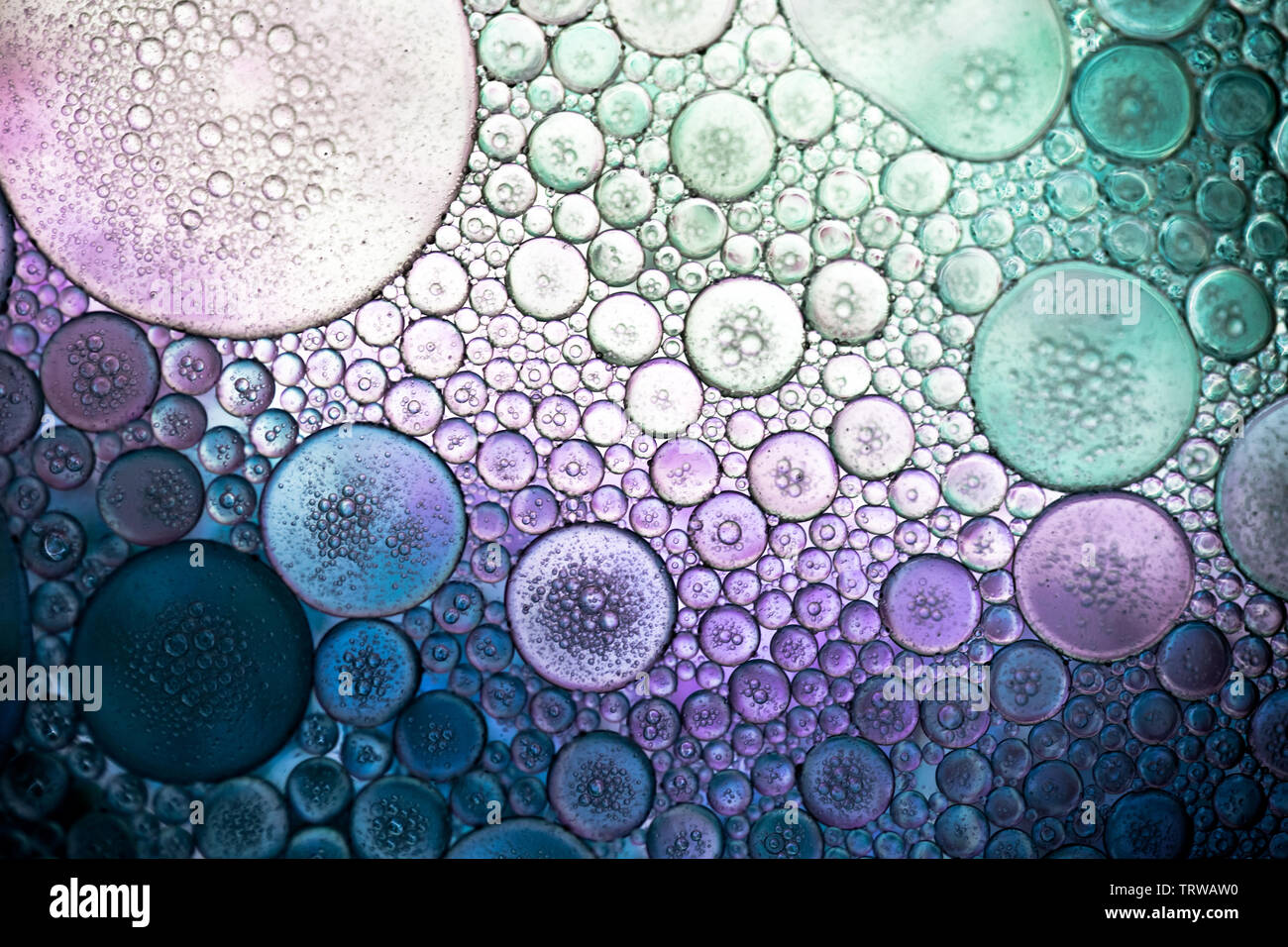 Magenta pourpre coloré abstrait bulles organique texture pattern macro Banque D'Images