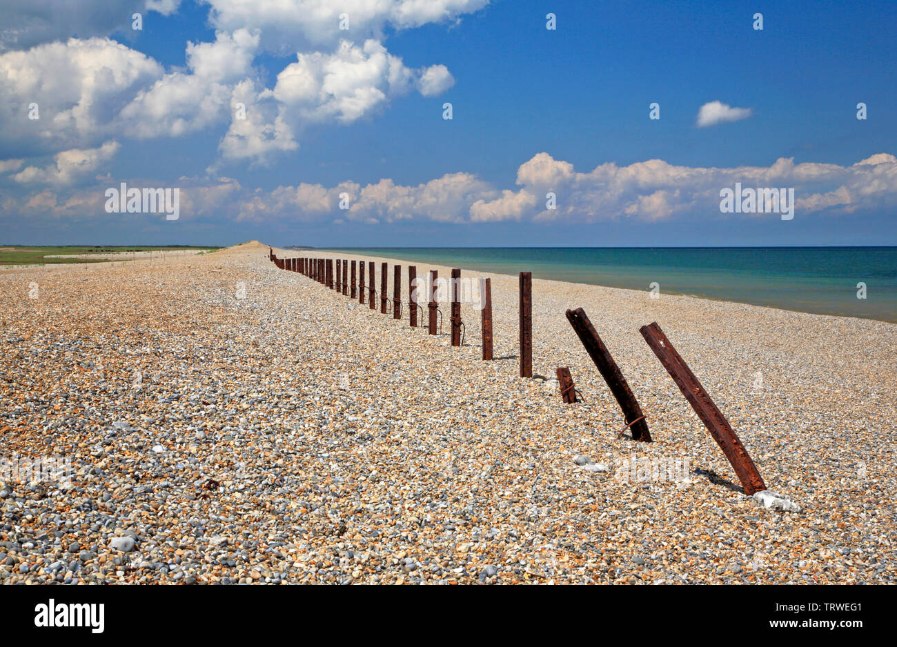 Vue d'une ligne de poteaux métalliques le long d'une crête de galets en provenance du sud-est dans la région de North Norfolk à Salthouse, Norfolk, Angleterre, Royaume-Uni, Europe. Banque D'Images