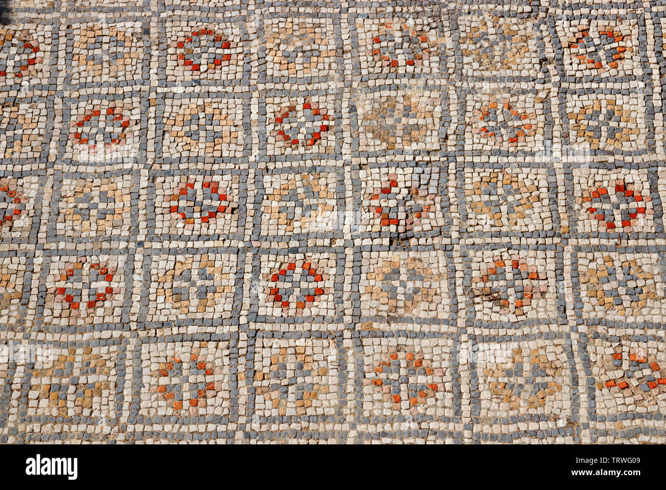 Sol en mosaïque colorée avec des motifs symétriques dans l'une des maisons de l'ancienne cité romaine Volubilis, au Maroc. Banque D'Images