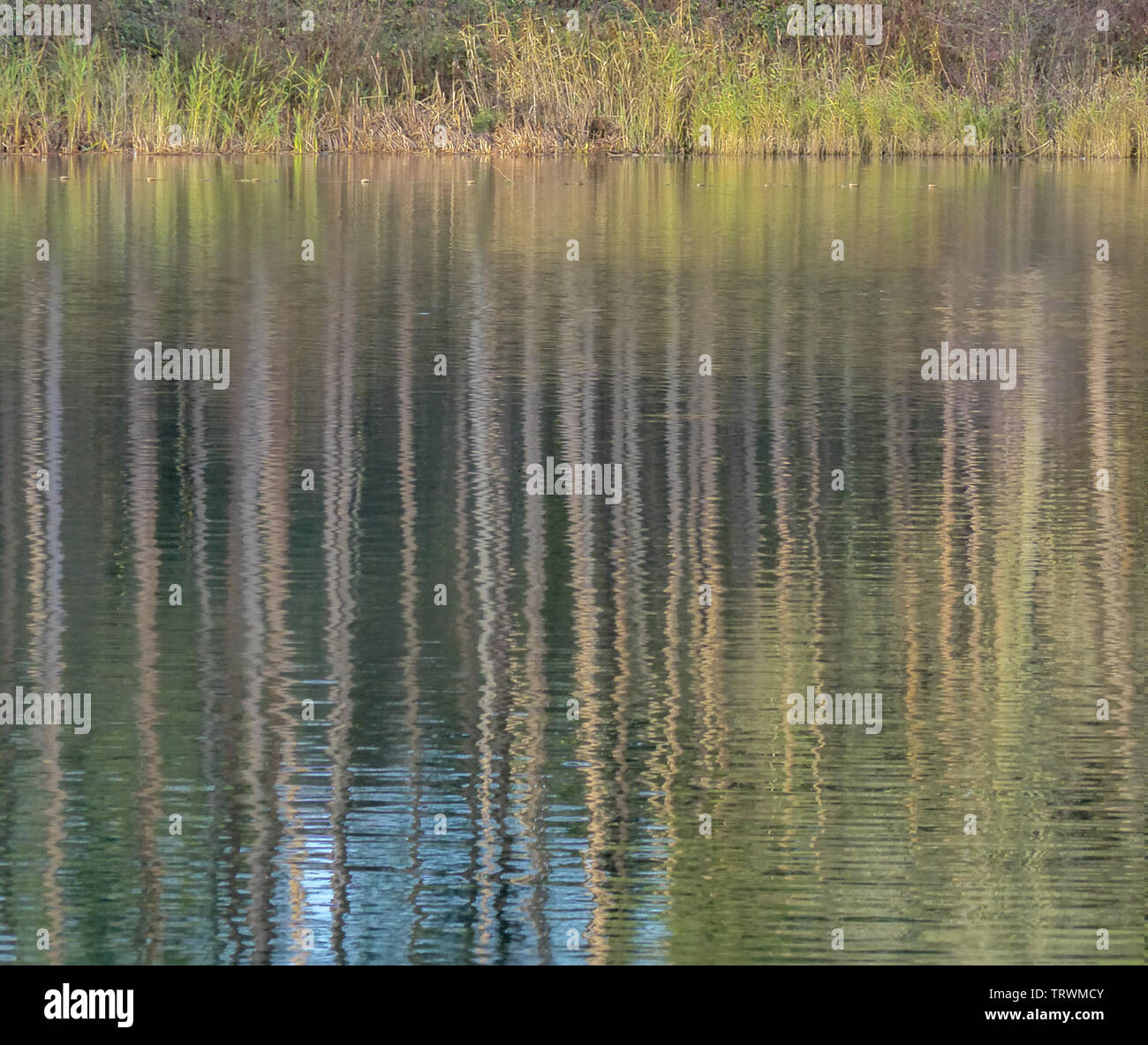 Reflet dans le lac Banque D'Images