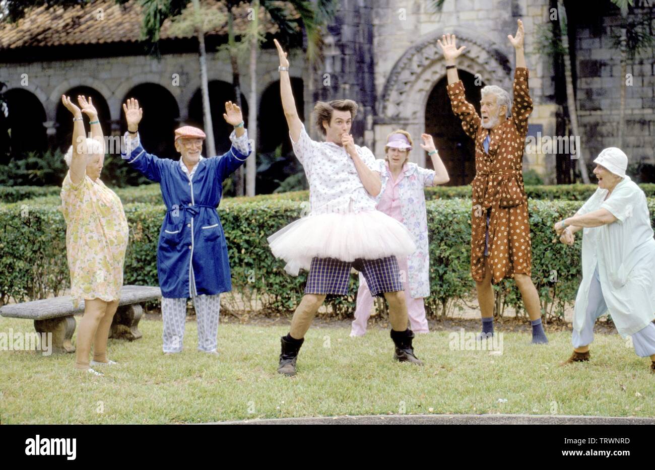 JIM CARREY dans Ace Ventura : PET DETECTIVE (1994). Copyright : Editorial uniquement. Pas de merchandising ou des couvertures de livres. C'est un document distribué au public. Les droits d'accès uniquement, aucune licence de droit d'auteur prévue. Seulement pour être reproduit dans le cadre de la promotion de ce film. Credit : Warner Brothers / Album Banque D'Images