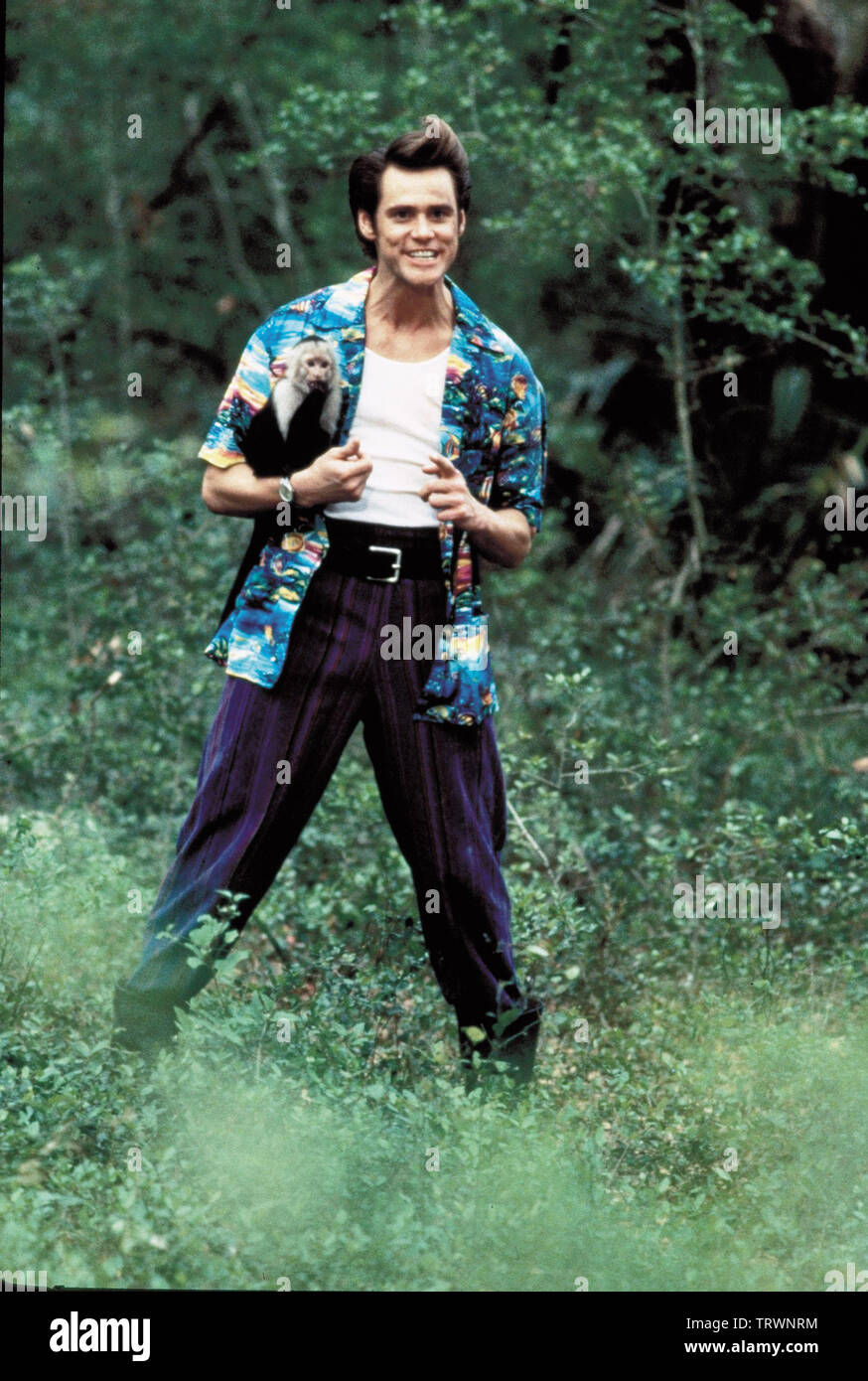 JIM CARREY dans Ace Ventura : QUAND LA NATURE DES APPELS (1995). Copyright : Editorial uniquement. Pas de merchandising ou des couvertures de livres. C'est un document distribué au public. Les droits d'accès uniquement, aucune licence de droit d'auteur prévue. Seulement pour être reproduit dans le cadre de la promotion de ce film. Credit : MORGAN CREEK / Album Banque D'Images
