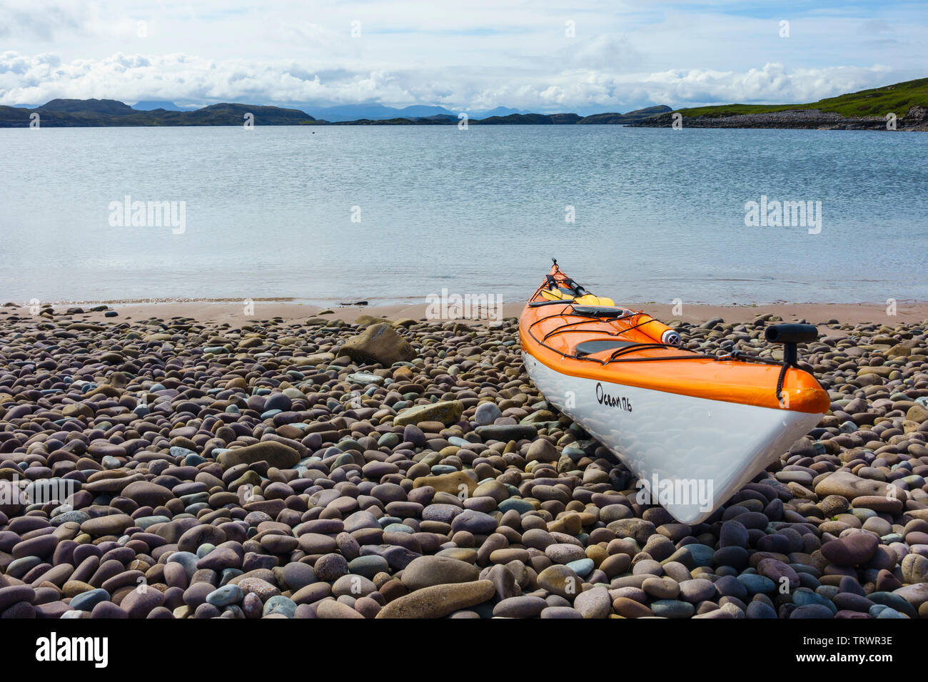 Les phoques sur les îles Summer, Wester Ross, Highlands, Scotland Banque D'Images