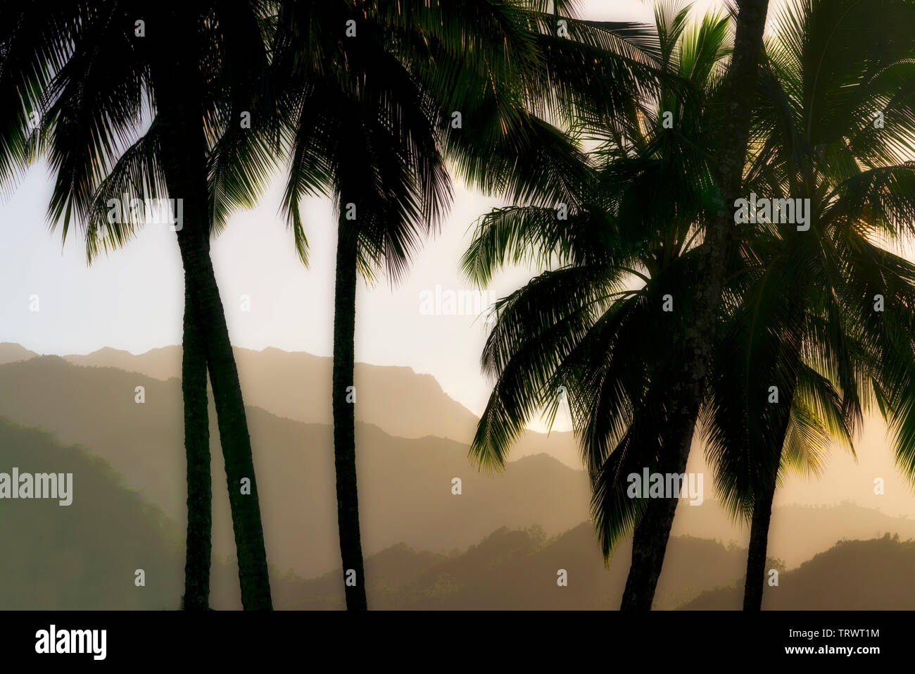Montagnes près de Hanalei avec palmiers. Kauai, Hawaii Banque D'Images