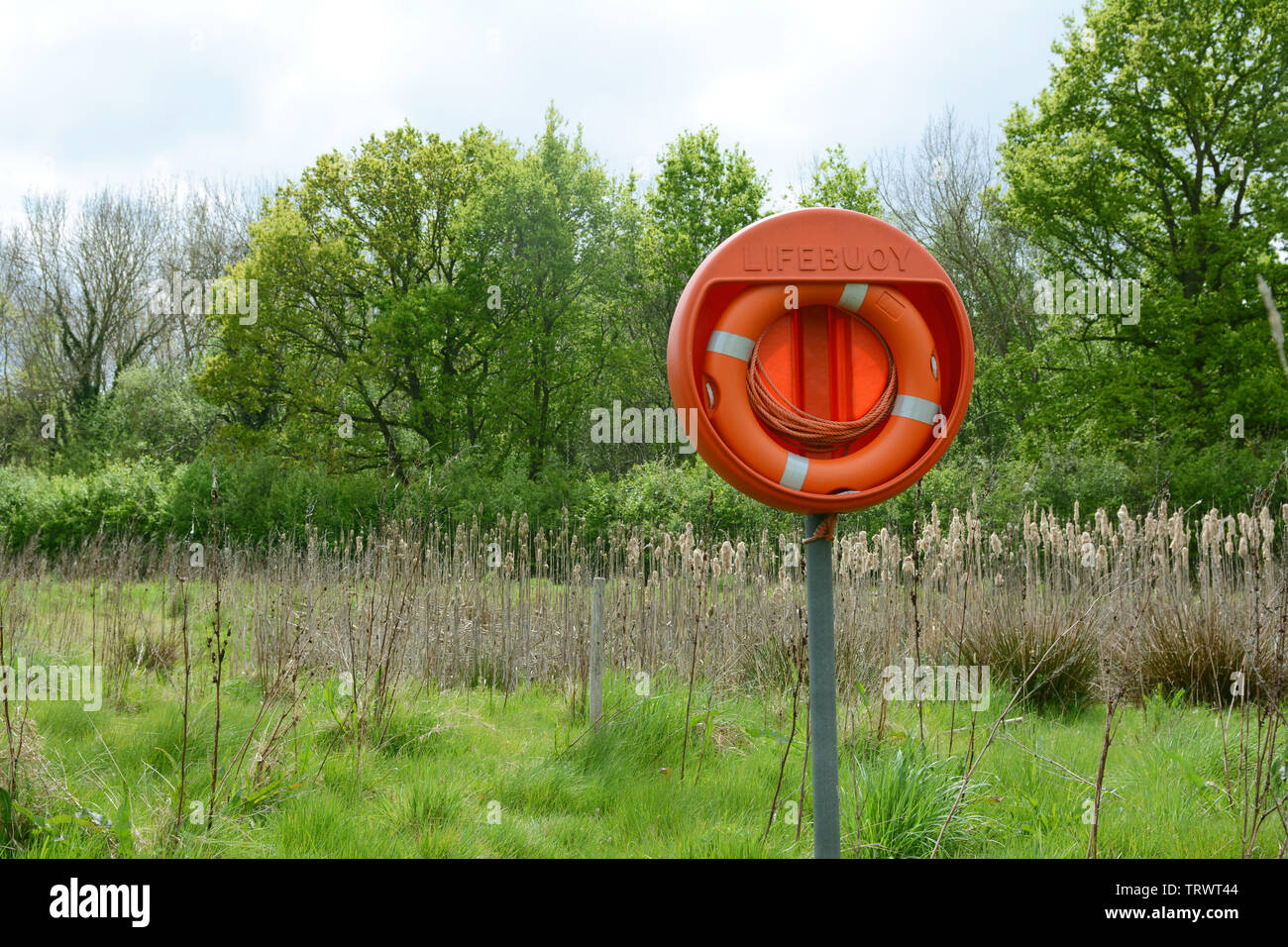 Bouée orange vif sur un poteau à proximité d'un étang profond rempli de scirpes. Parmi les arbres verdoyants se tenir au-delà de l'eau. Banque D'Images