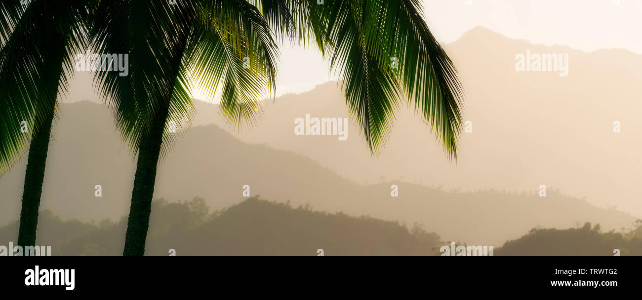 Montagnes près de Hanalei avec palmiers. Kauai, Hawaii Banque D'Images