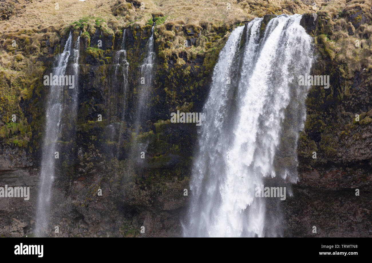 Cascade de SELJALANDSFOSS, ISLANDE - sur la côte sud, sur Seljalands River. Banque D'Images