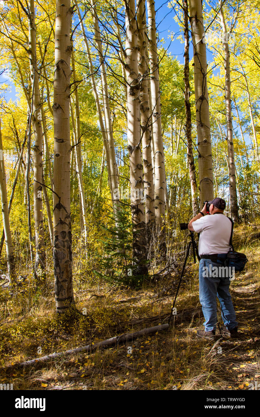 Photographes de l'atelier photo, Ranch, Wyoming Absaroka, tenue chaque automne. Banque D'Images