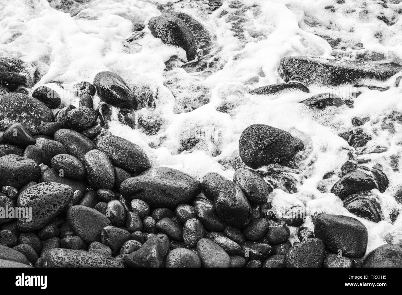 Rochers noirs couvrir la plage à Hilo, Hawaii, comme une vague, submergeant des roches sous sa mousse d'ébullition. Banque D'Images