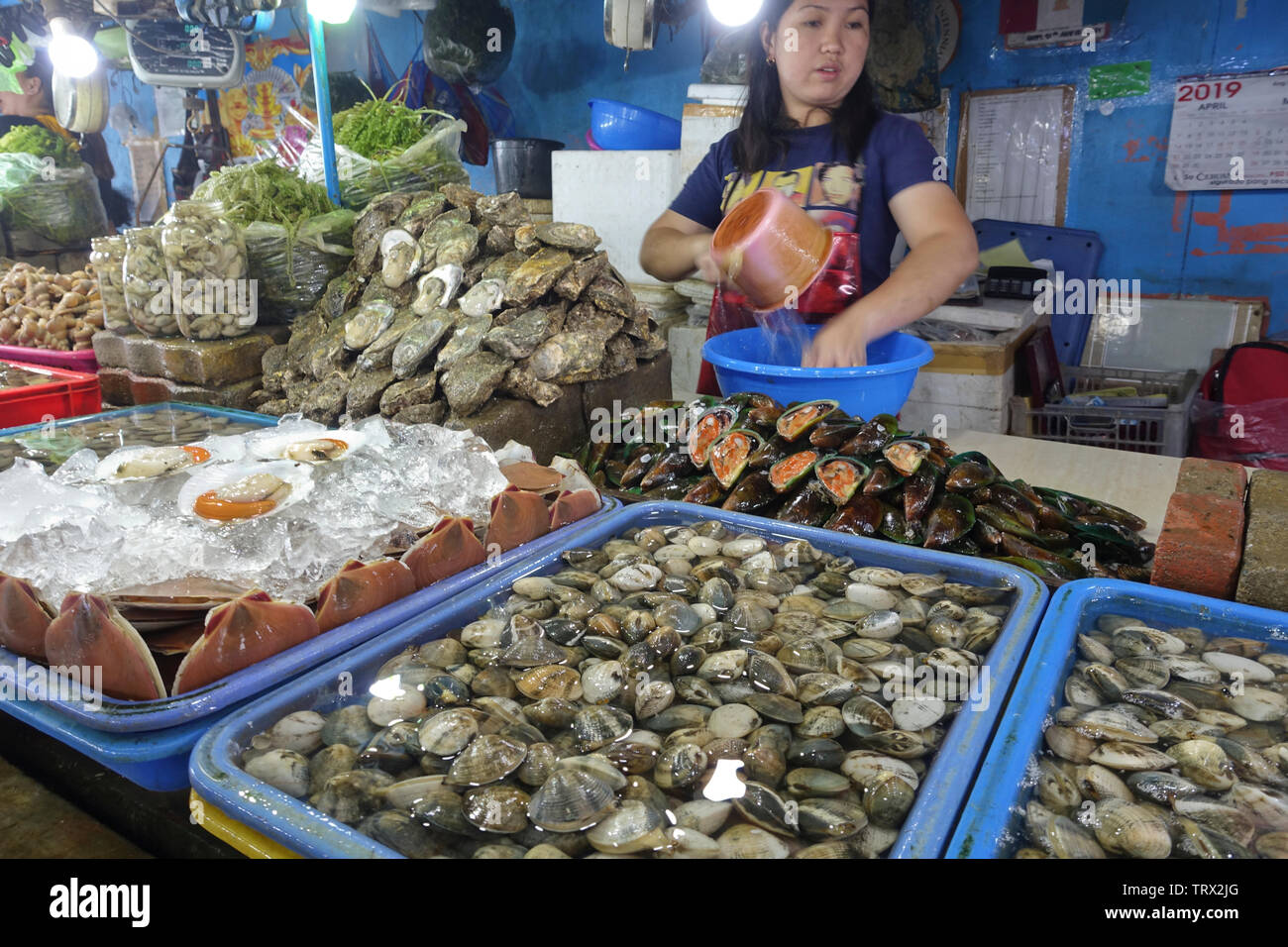 Le marché des fruits de mer est abondante avec une variété de crustacés : huîtres, pétoncles, moules, palourdes et d'autres, ils sont vendus par le kilo. Banque D'Images