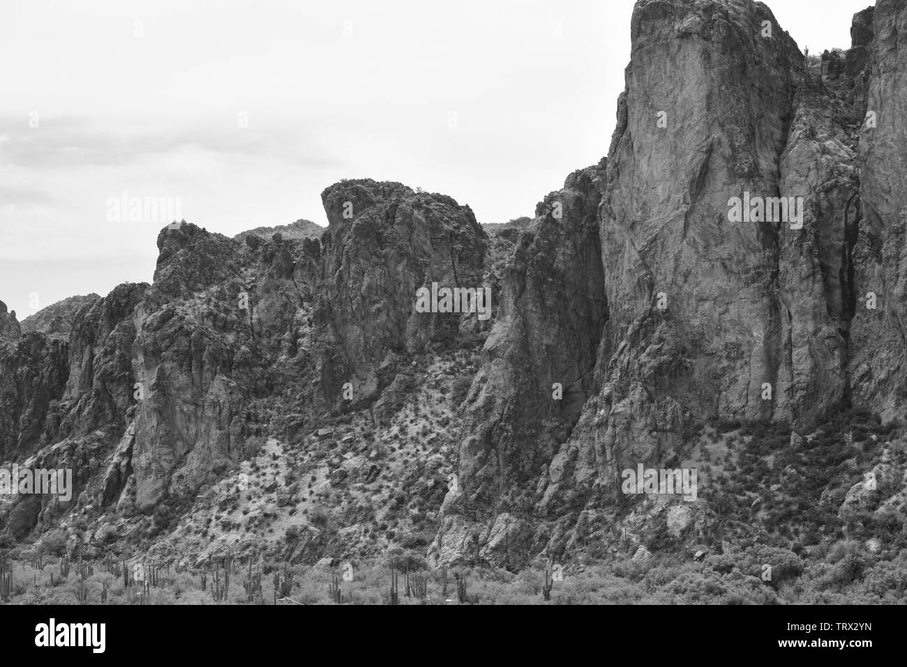 Arizona désert Paysage Banque D'Images