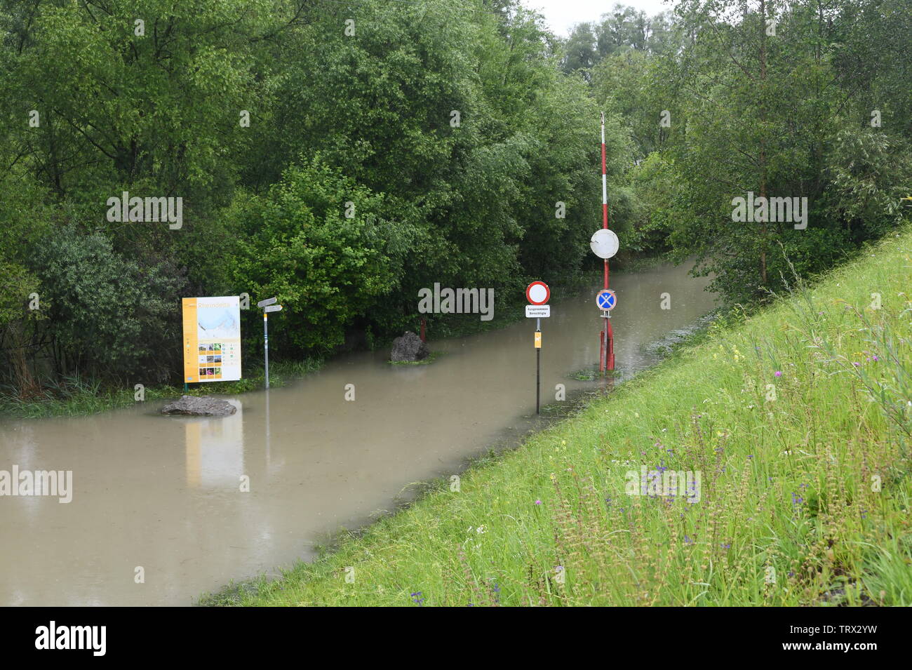 Haut de l'eau inondation et le Rhein à Fussach, Autriche, au bord du lac de Constance Banque D'Images