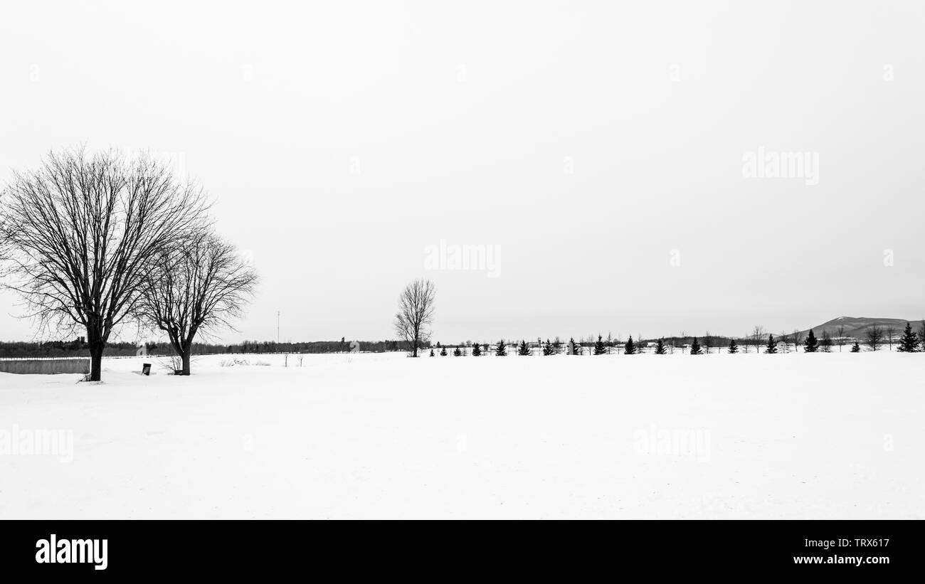 Paysage de neige après St-Cesaire farms Banque D'Images