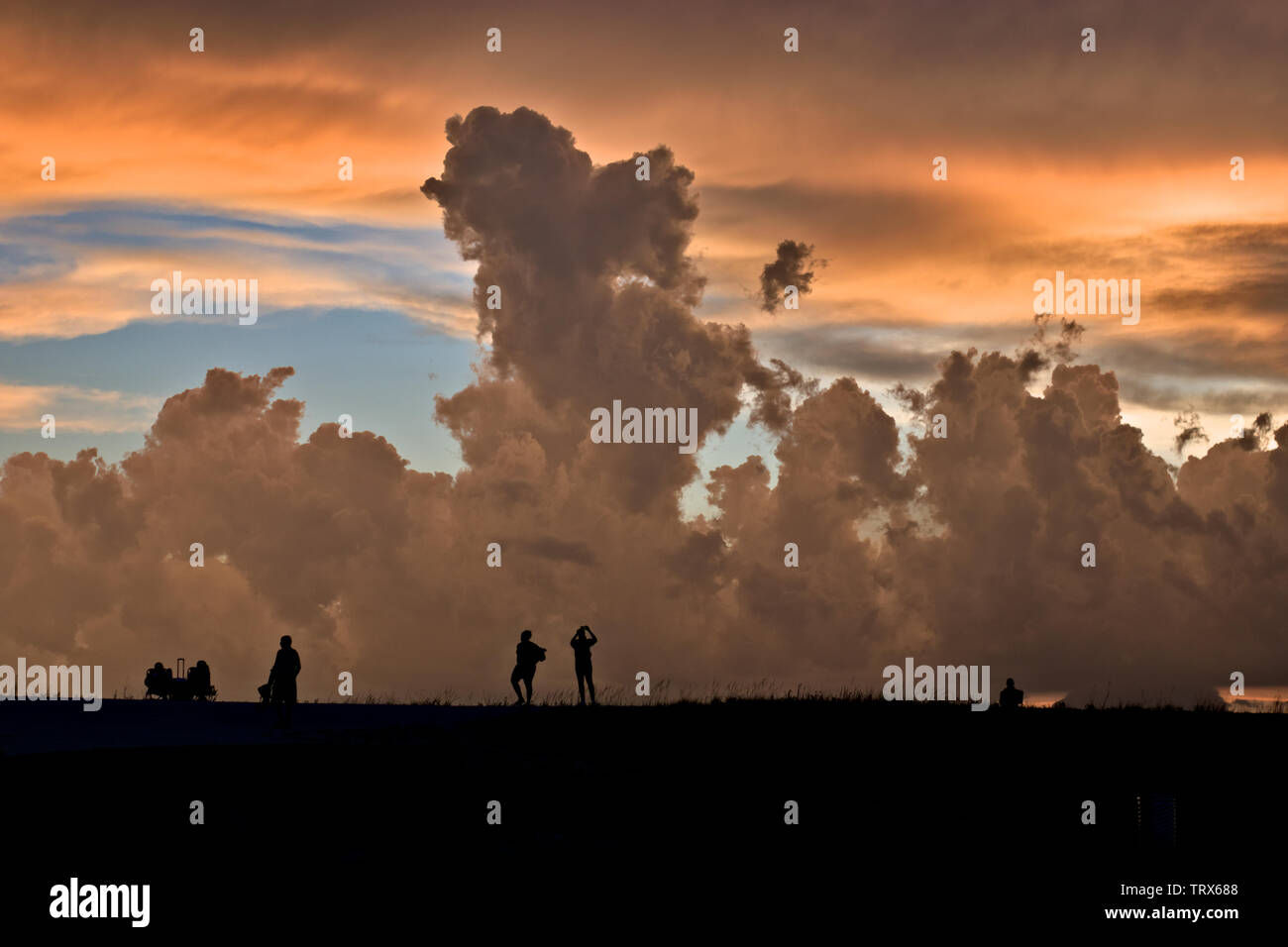 Les gens regardent le coucher du soleil sur les Everglades, en Floride, aux États-Unis. De grands nuages d'or offrent une toile de fond épique. Banque D'Images