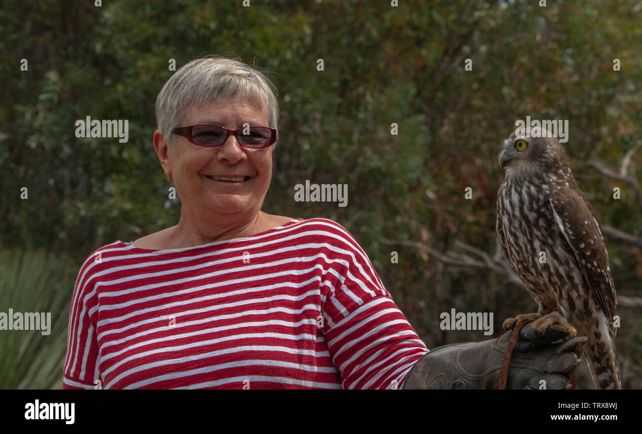 Les touristes détenteurs barking owl au domaine de rapaces Banque D'Images