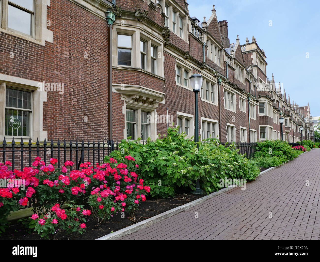 Résidence des étudiants en brique de style gothique avec des éléments stylistiques, comme la baie des fenêtres et des cadres de fenêtres en pierre Banque D'Images Résidence des étudiants en brique de style gothique avec des éléments stylistiques, comme la baie des fenêtres et des cadres de fenêtres en pierre Banque D'Images