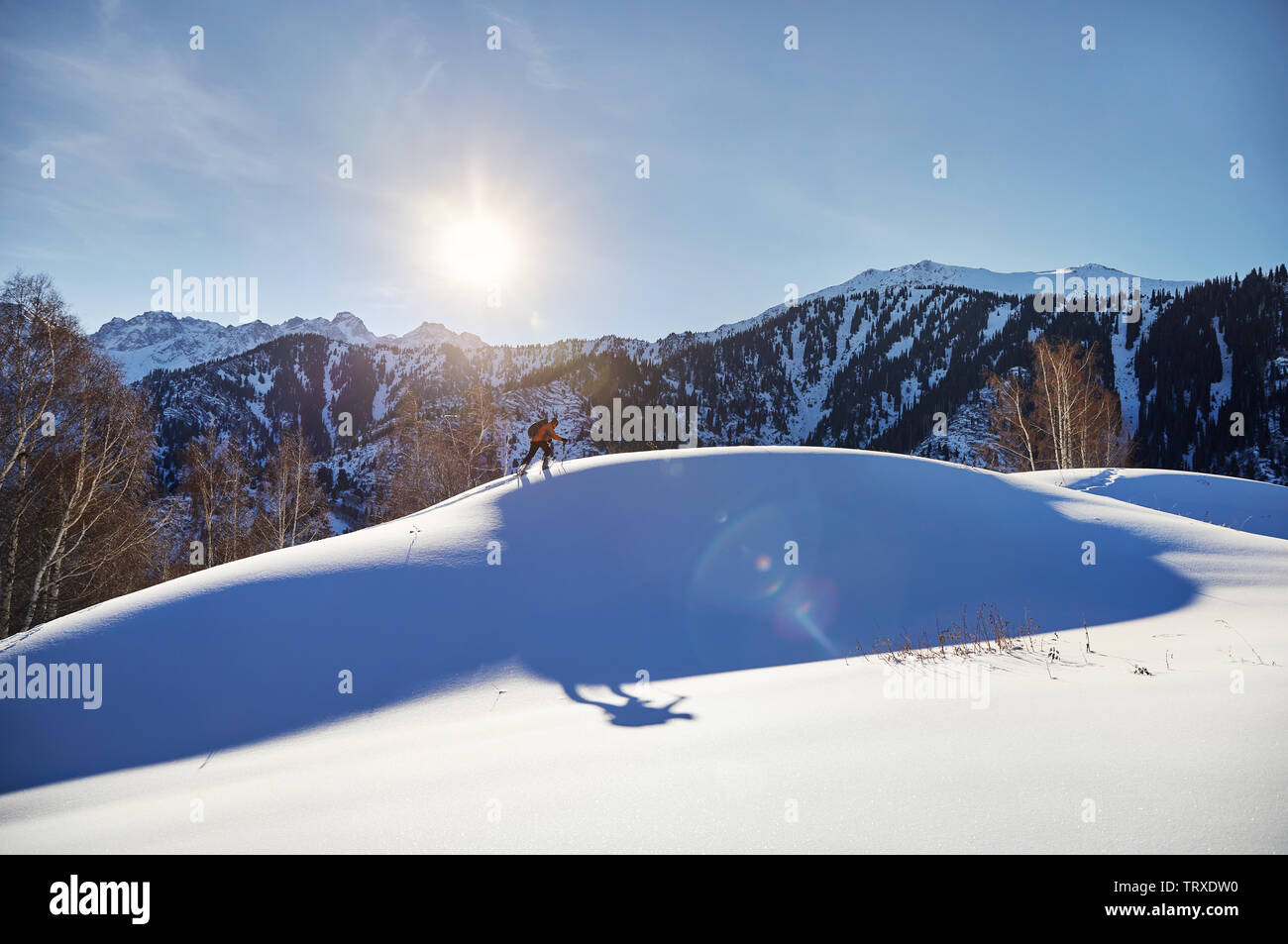 L'homme sur le ski de poudreuse la neige en forêt dans les montagnes près de Almaty, Kazakhstan Banque D'Images