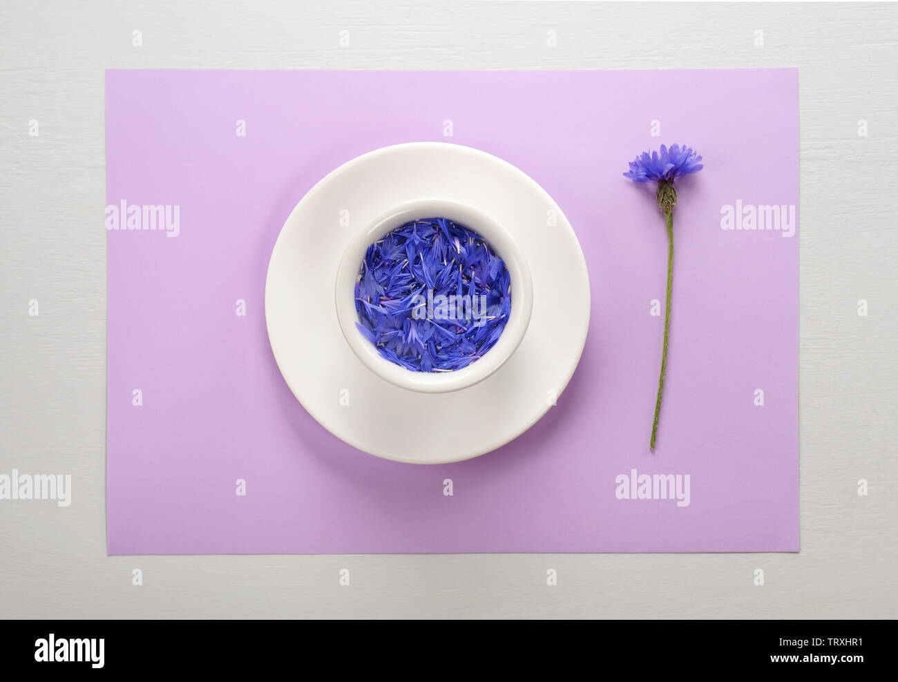 Mise en page créative faite de pétales de drap bleu flottant dans l'eau sur fond pastel lilas clair portant sur la table gris.Télévision lay, Concept. Banque D'Images