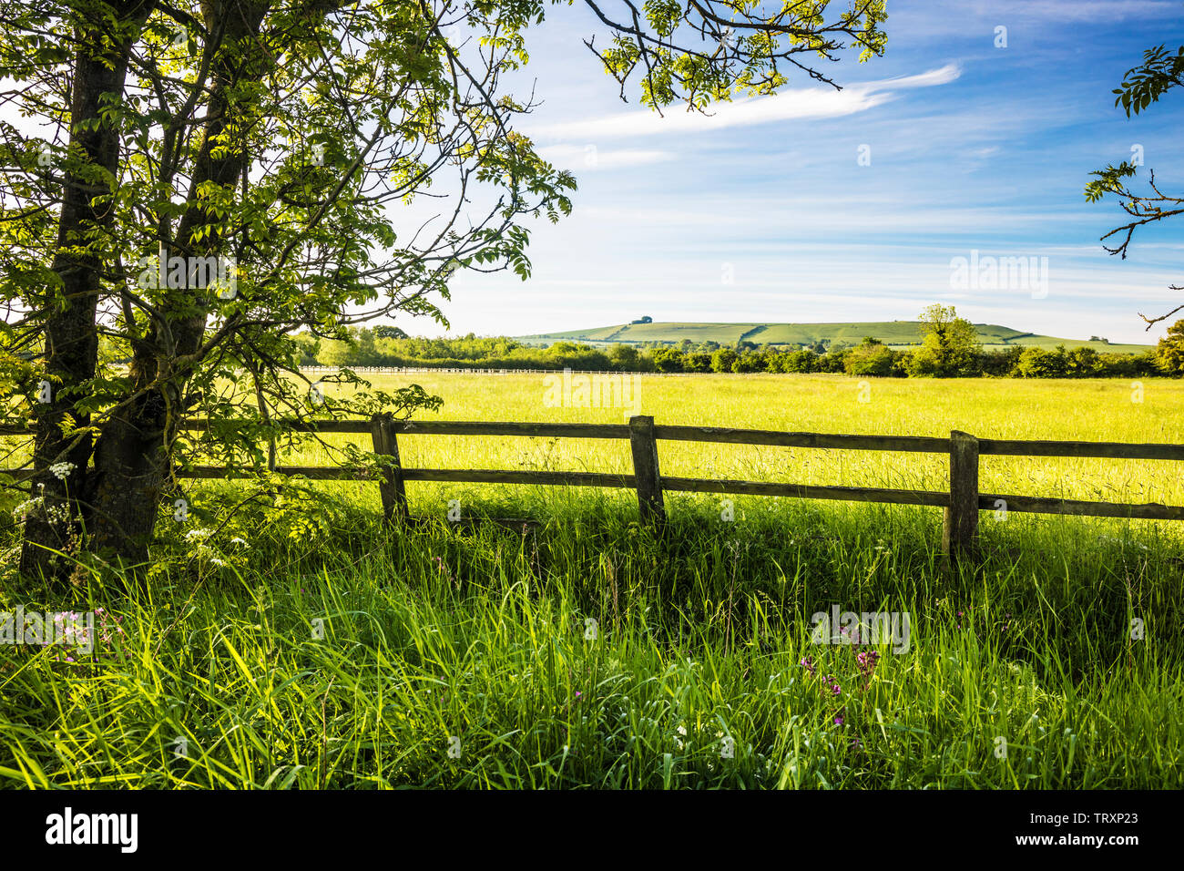 La vue en direction de Liddington Hill, près de Swindon, Wiltshire sur un début d'un matin d'été. Banque D'Images