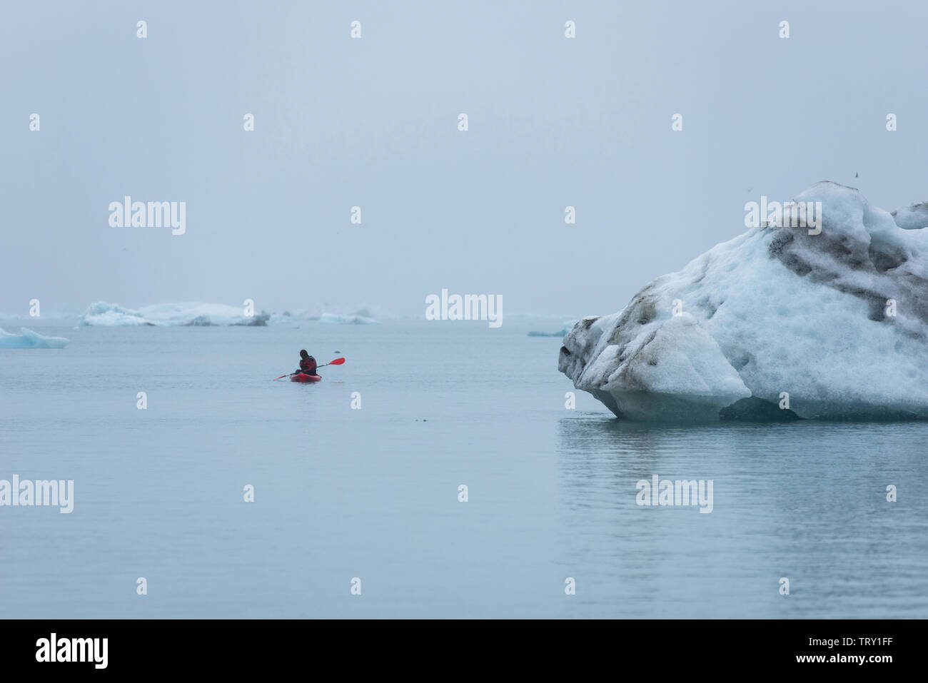 Guy kayak parmi la fonte des icebergs floating in Jokulsarlon glacial lagoon en raison du réchauffement planétaire et du changement climatique. Le Parc National de Vatnajökull Banque D'Images