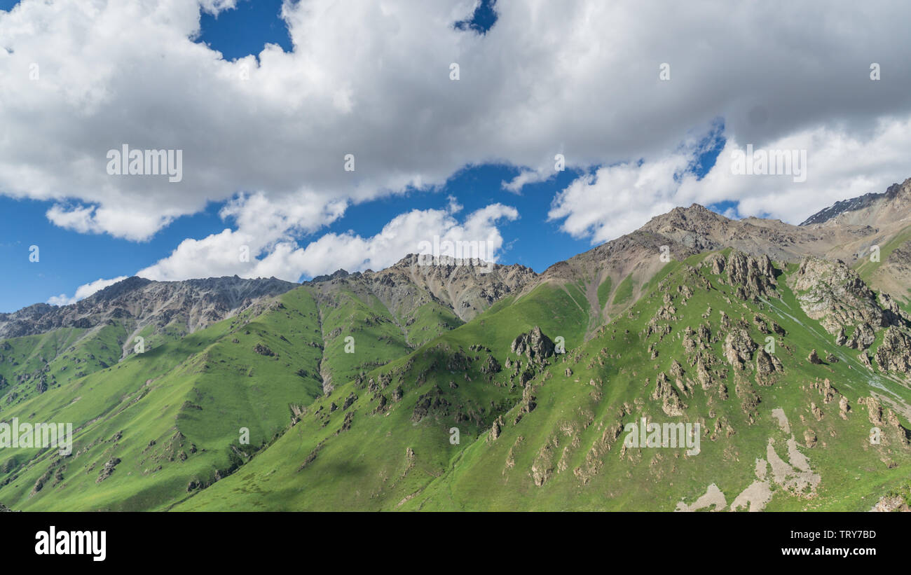 Les prairies alpines le long de la G217 Duku sous l'autoroute l'été, ciel bleu et nuages blancs dans le Xinjiang, Chine Banque D'Images