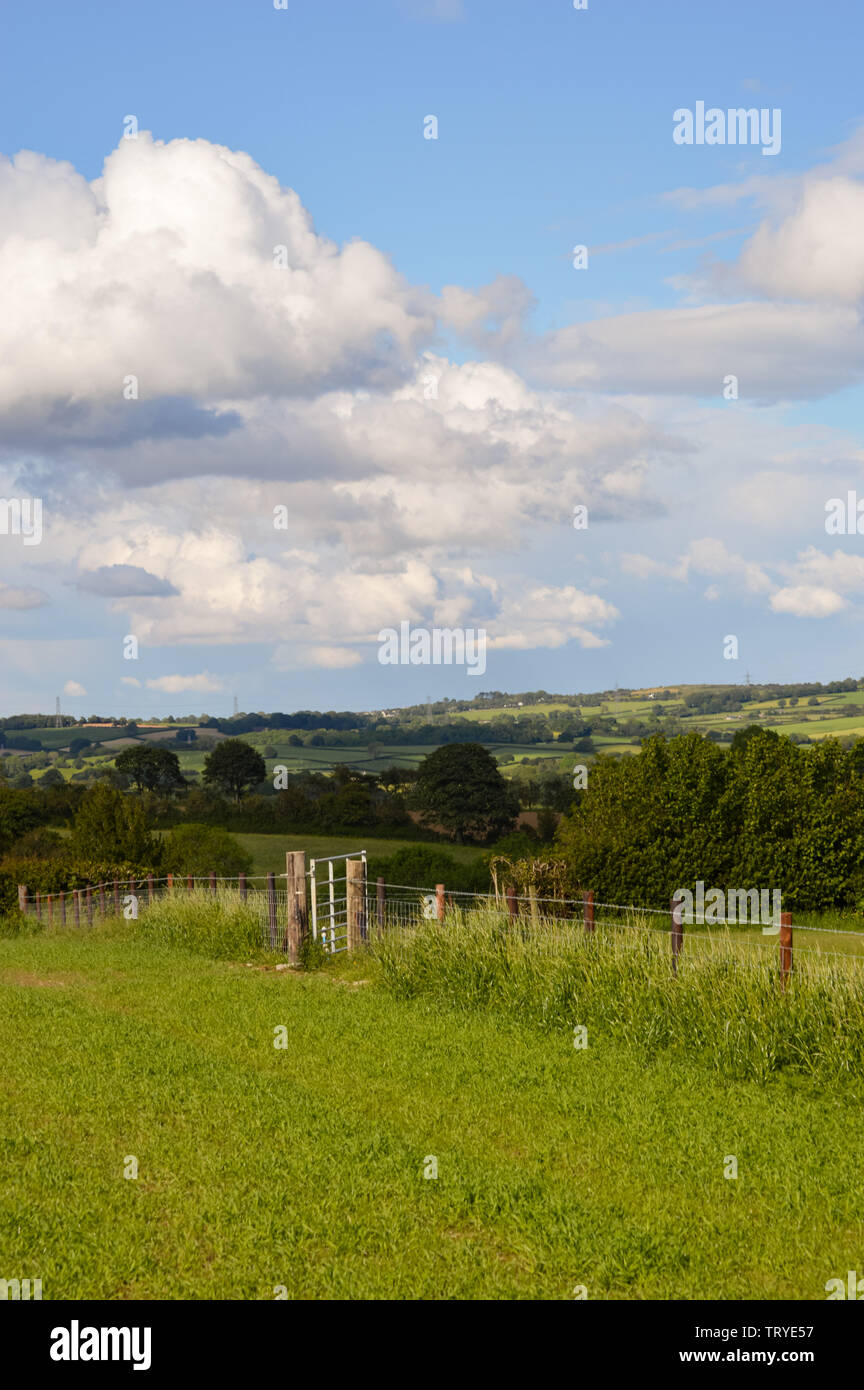 Vue de l'ensemble du parc Y Moel Clwydian Chaîne de montagnes au nord-est du pays de Galles près de Snowdonia, Banque D'Images
