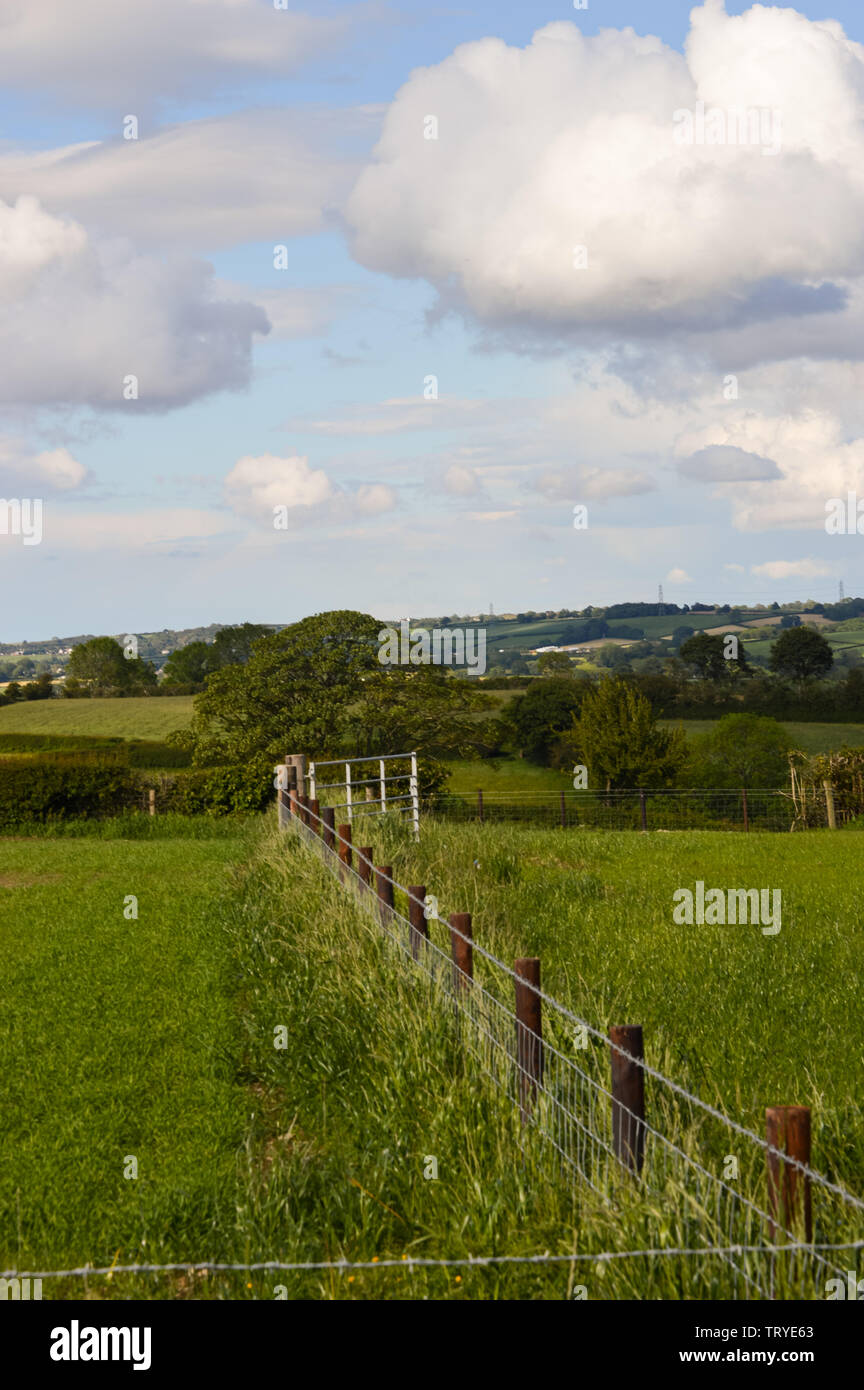 Vue de l'ensemble du parc Y Moel Clwydian Chaîne de montagnes au nord-est du pays de Galles près de Snowdonia, Banque D'Images
