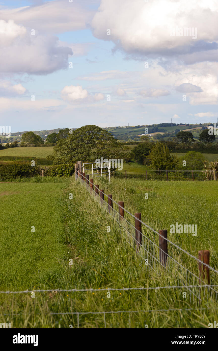Vue de l'ensemble du parc Y Moel Clwydian Chaîne de montagnes au nord-est du pays de Galles près de Snowdonia, Banque D'Images