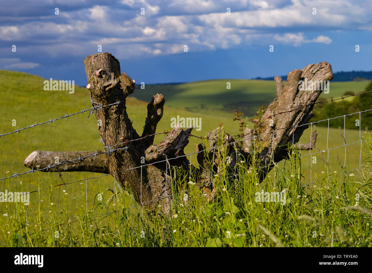 Vue de l'ensemble du parc Y Moel Clwydian Chaîne de montagnes au nord-est du pays de Galles près de Snowdonia, Banque D'Images