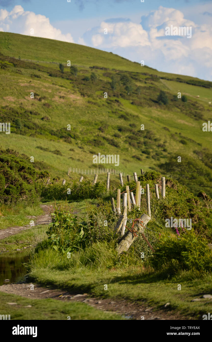 Vue de l'ensemble du parc Y Moel Clwydian Chaîne de montagnes au nord-est du pays de Galles près de Snowdonia, Banque D'Images