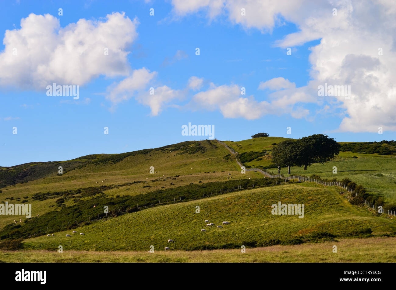 Vue de l'ensemble du parc Y Moel Clwydian Chaîne de montagnes au nord-est du pays de Galles près de Snowdonia, Banque D'Images