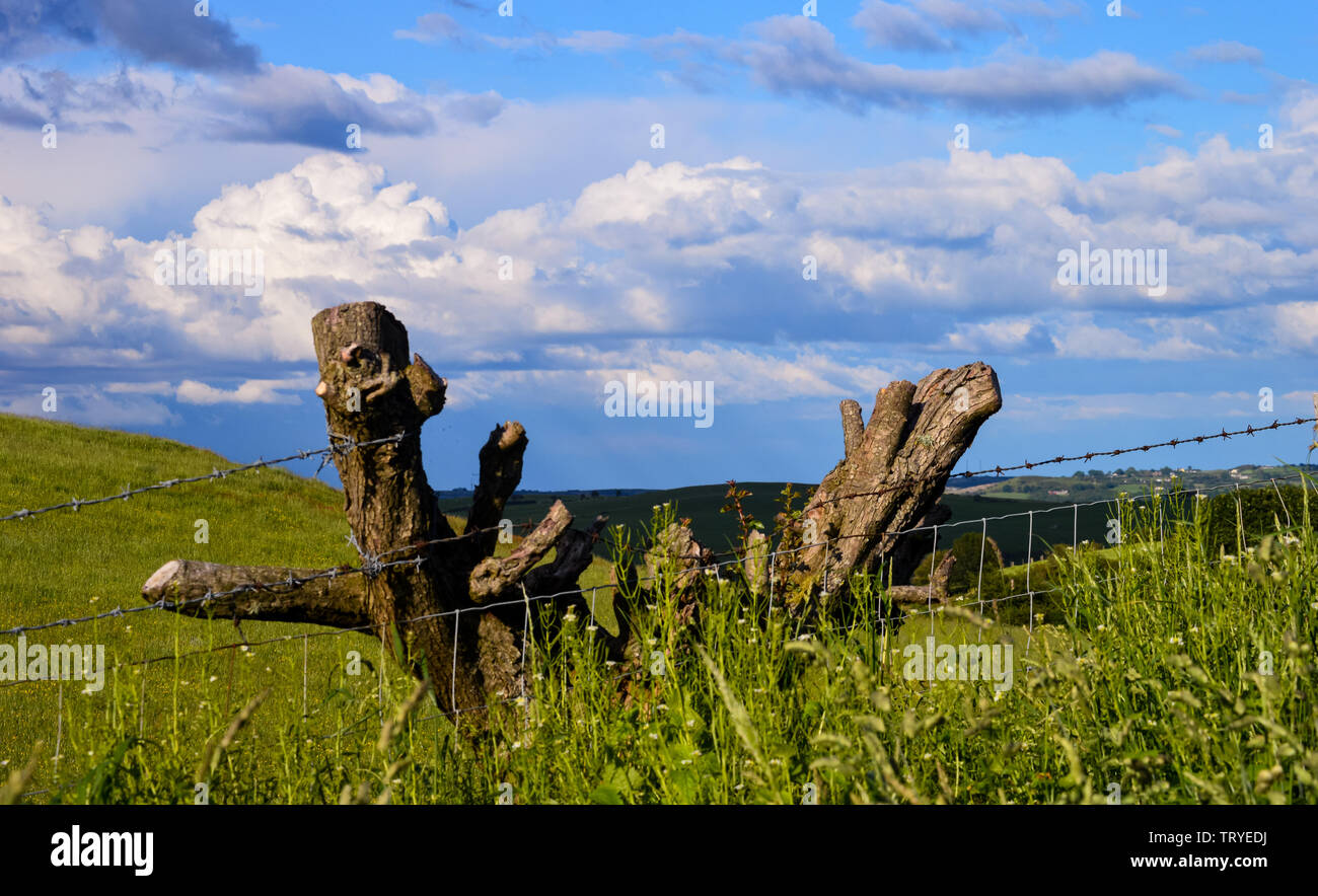 Vue de l'ensemble du parc Y Moel Clwydian Chaîne de montagnes au nord-est du pays de Galles près de Snowdonia, Banque D'Images
