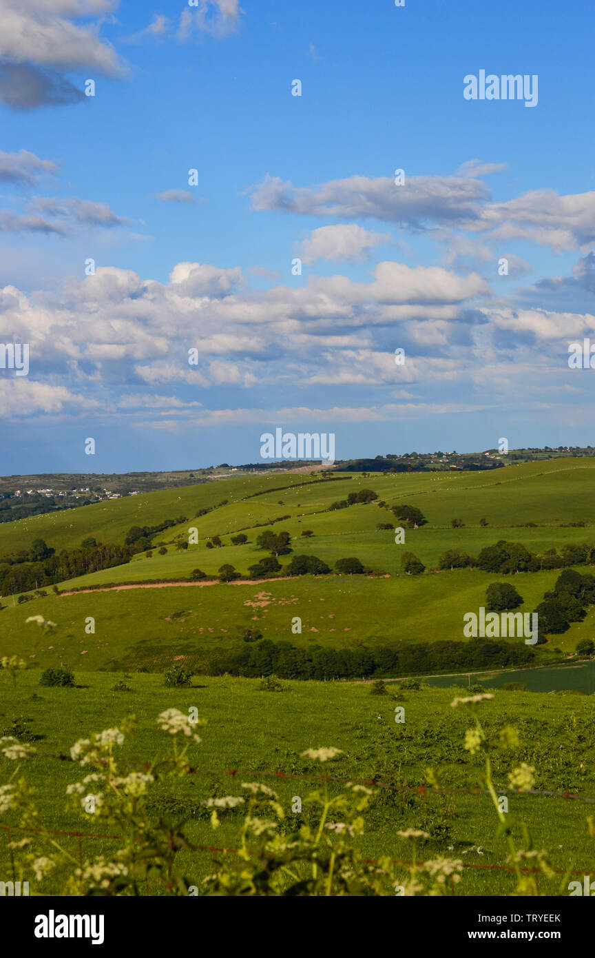 Vue de l'ensemble du parc Y Moel Clwydian Chaîne de montagnes au nord-est du pays de Galles près de Snowdonia, Banque D'Images