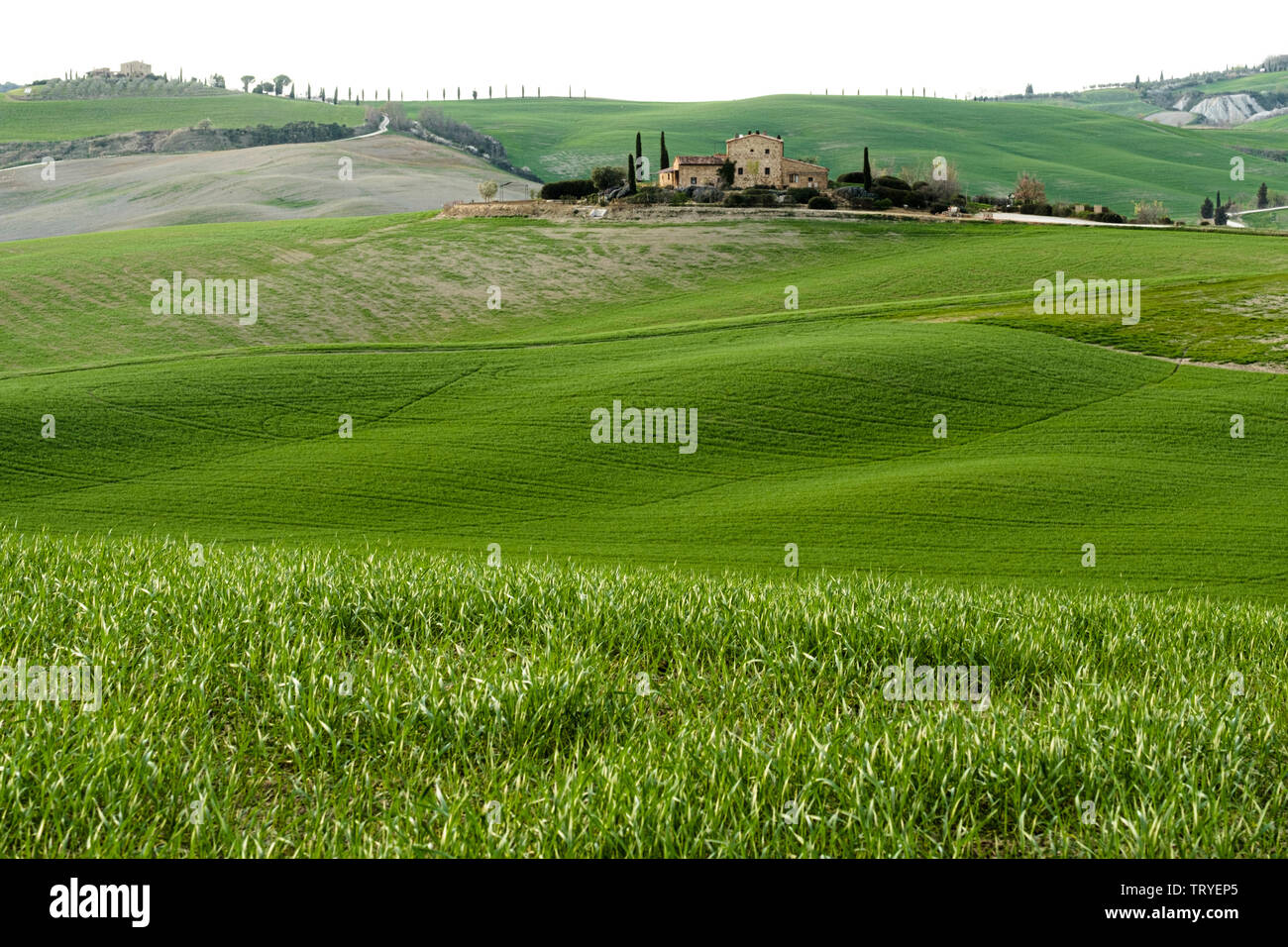Val d'Orcia, Toscane, Italie Banque D'Images