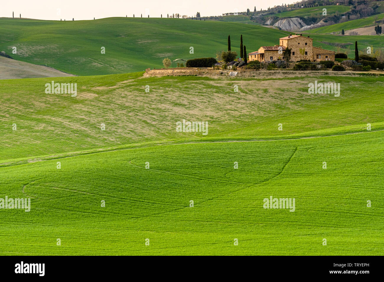 Val d'Orcia, Toscane, Italie Banque D'Images