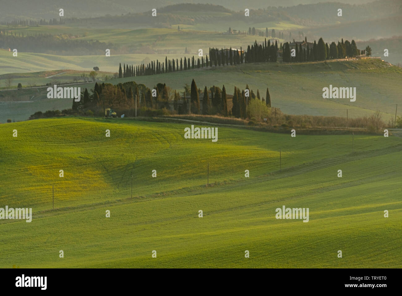 Val d'Orcia, Toscane, Italie Banque D'Images