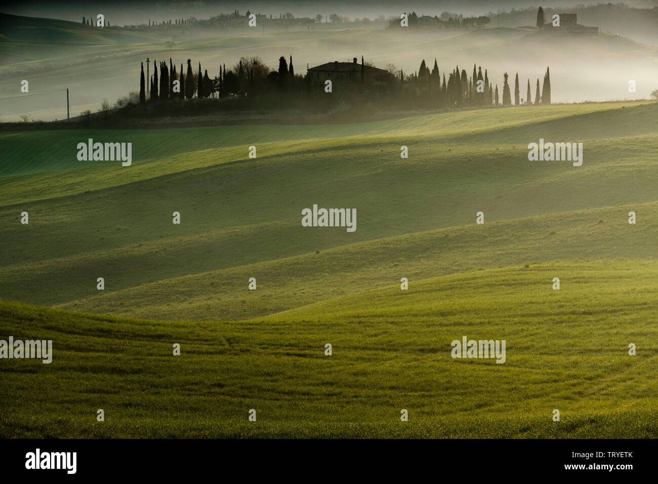 Val d'Orcia, Toscane, Italie Banque D'Images