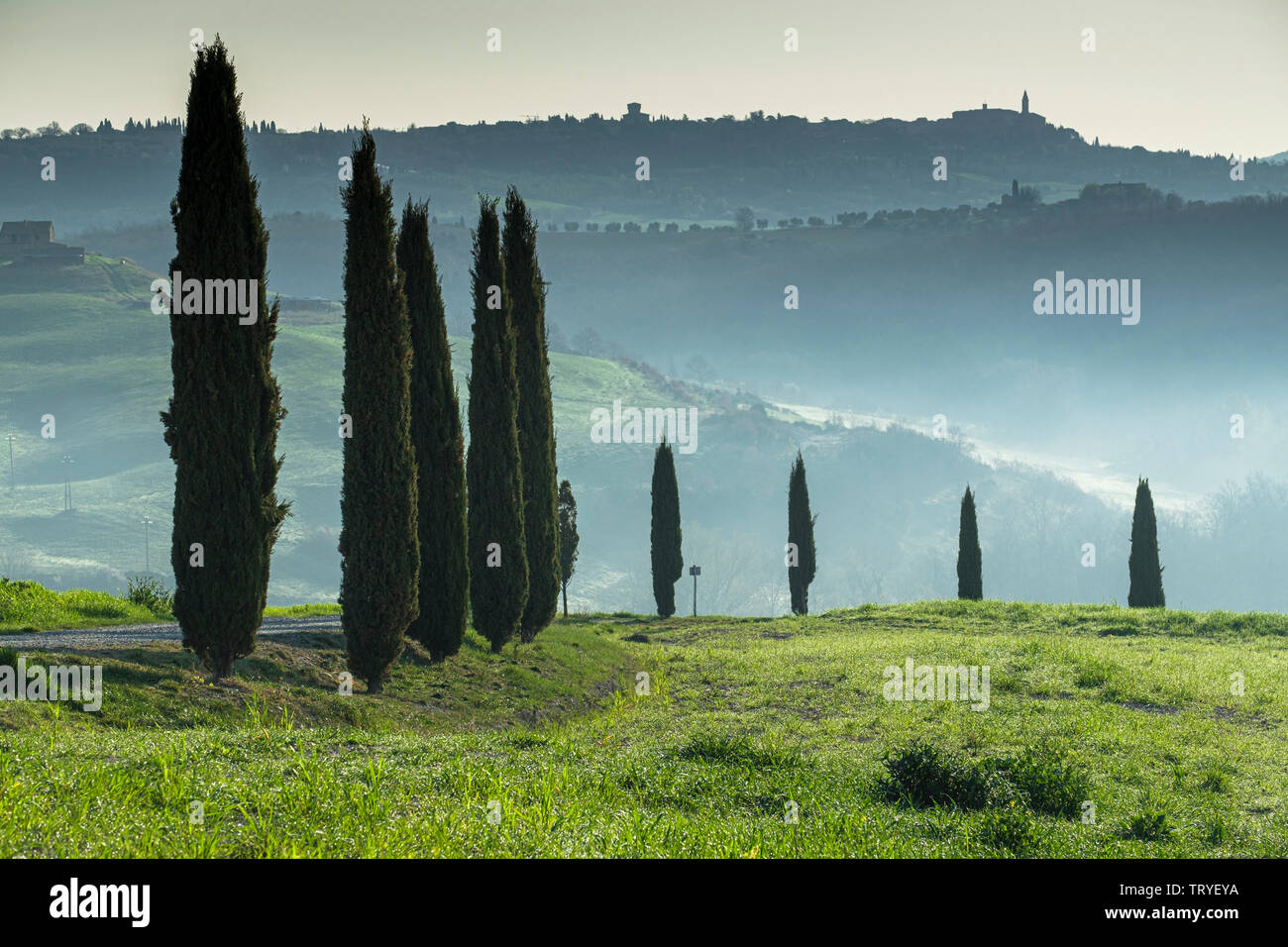 Val d'Orcia, Toscane, Italie Banque D'Images