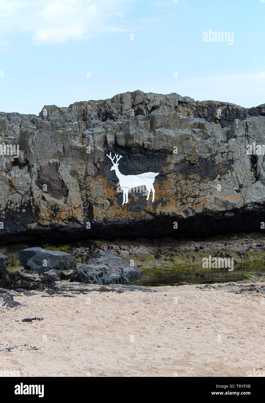 Les belles roches Stag grès dolérite près du Wynding sur la côte près de Northumberland Bamburgh Angleterre Royaume-Uni UK Banque D'Images