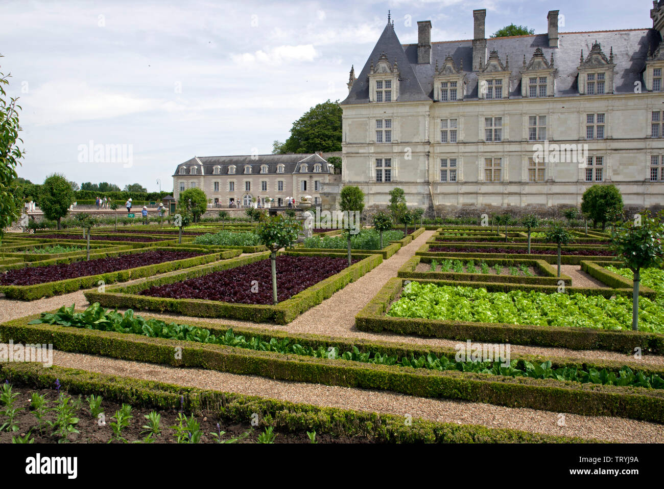 Le Potager du Château Villandry Banque D'Images