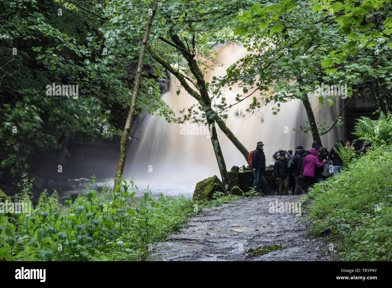 Summerhill, Force, de Teesdale County Durham, Royaume-Uni. 13 juin 2019. Météo britannique. Avec un jaune d'avertissement météorologiques en vigueur, plus de tonnerres crue Summerhill vigueur que heavy rain balaie le nord-est de l'Angleterre. Summerhill est une cascade de la Force populaire pour les touristes et les promeneurs à visiter dans la région de Teesdale. Crédit : David Forster/Alamy Live News Banque D'Images