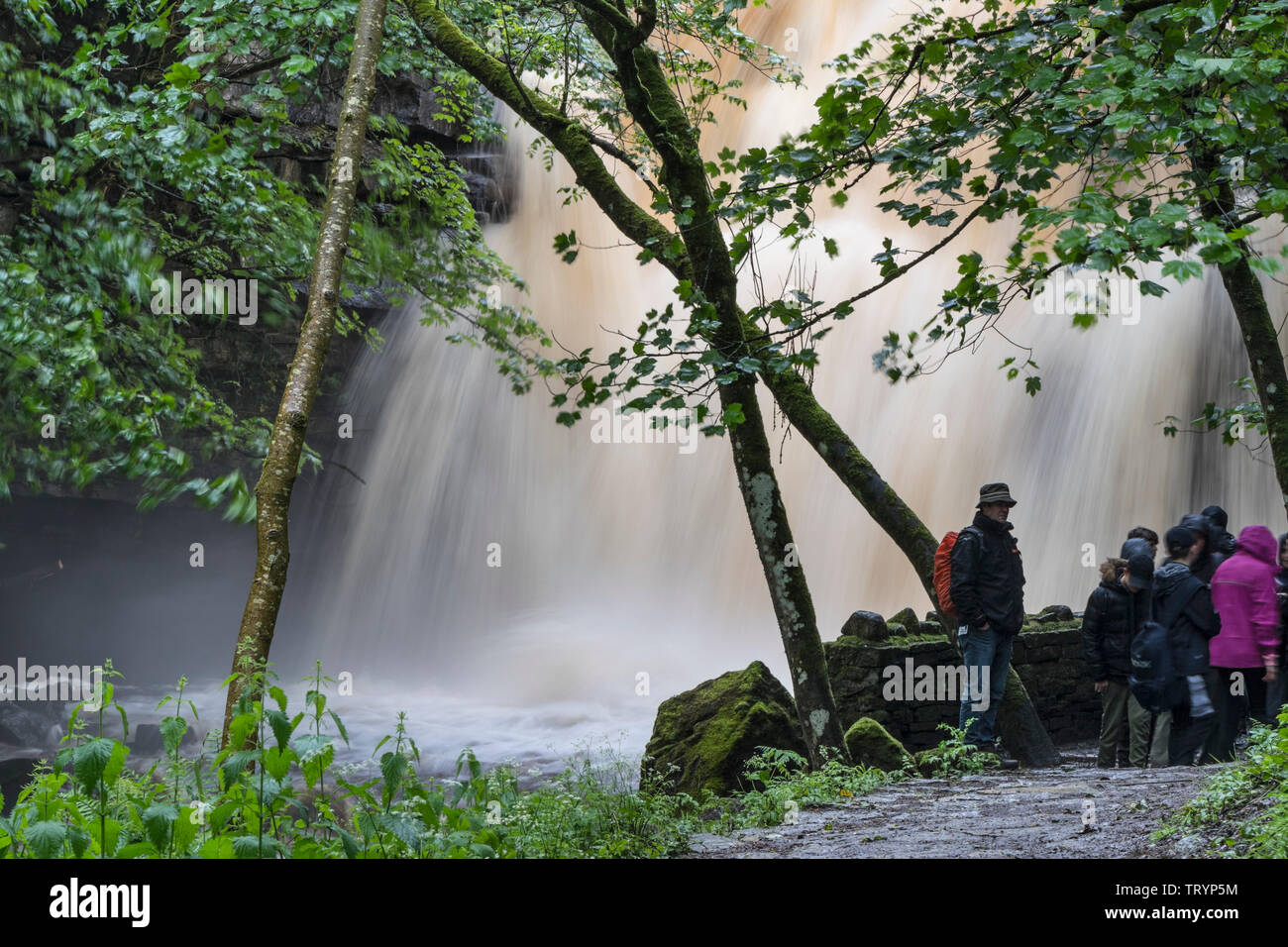 Summerhill, Force, de Teesdale County Durham, Royaume-Uni. 13 juin 2019. Météo britannique. Avec un jaune d'avertissement météorologiques en vigueur, plus de tonnerres crue Summerhill vigueur que heavy rain balaie le nord-est de l'Angleterre. Summerhill est une cascade de la Force populaire pour les touristes et les promeneurs à visiter dans la région de Teesdale. Crédit : David Forster/Alamy Live News Banque D'Images